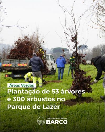 Planta&ccedil;&atilde;o